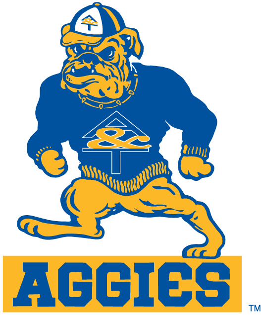 North Carolina A&T Aggies 1988-2005 Primary Logo diy iron on heat transfer